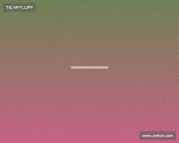 阿莫林在球场上的心酸历程：从高光到低谷的奋斗与坚持